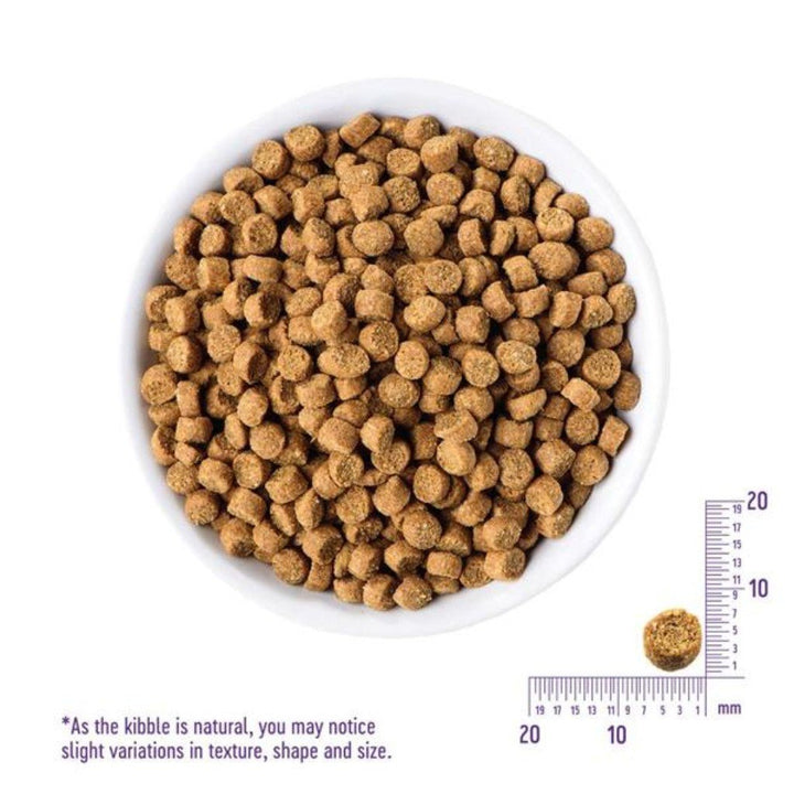 Wellness Complete Health Grain-Free Kitten Dry Cat Food, 5.5lb - Happy Hoomans