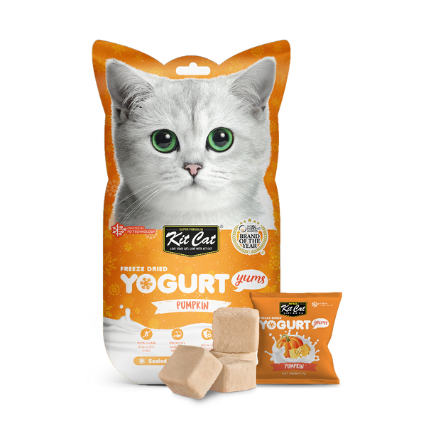 SALE! Kit Cat Yogurt Yums Pumpkin Freeze-Dried Cat Treat, 10 Pcs (EXP: 26 MAR 24)