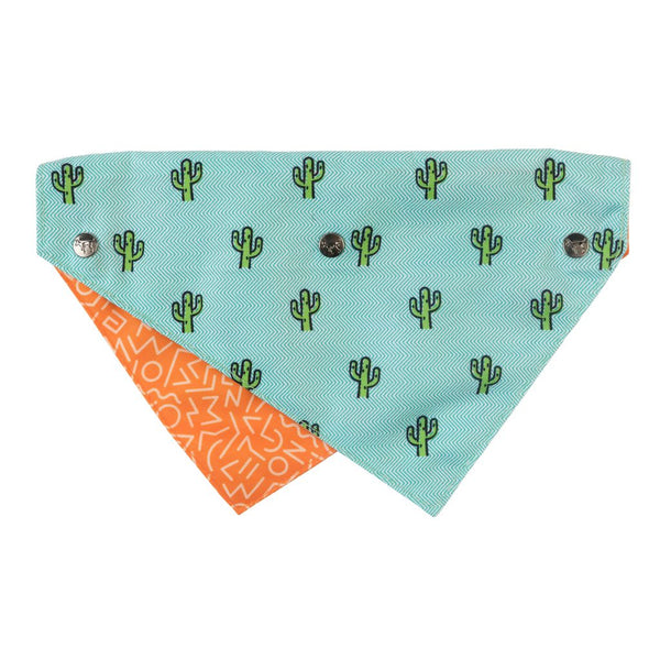 FuzzYard Tucson Pet Bandana