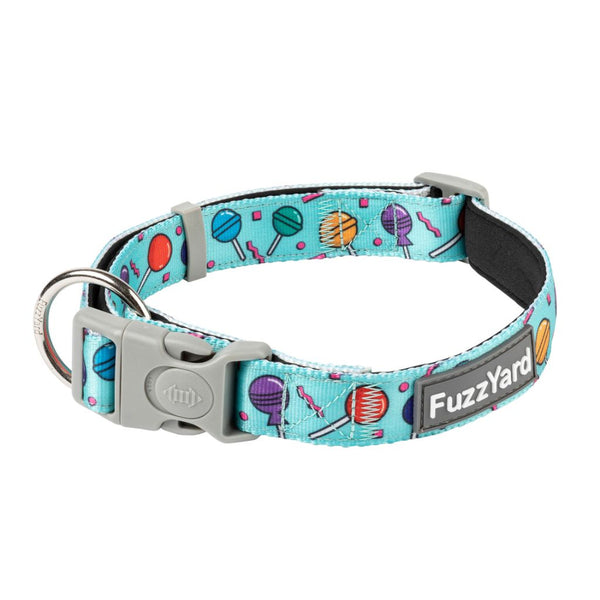 FuzzYard Hey Suckers! Dog Collar (3 Sizes)