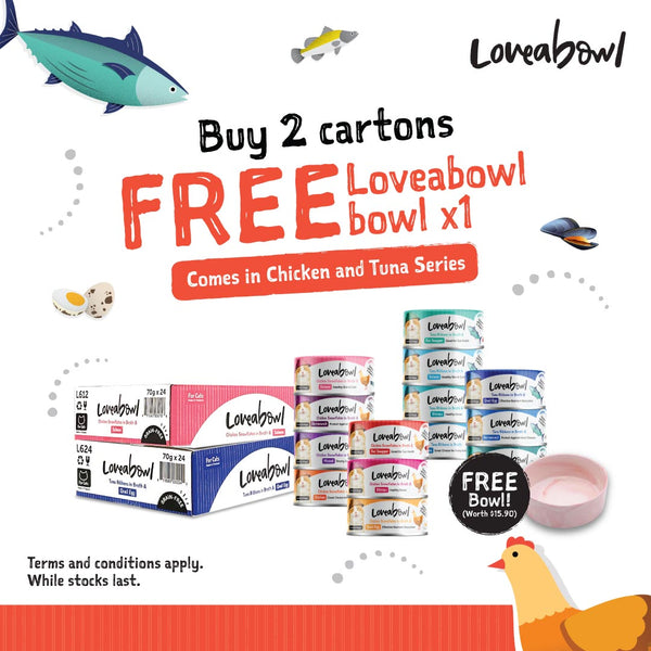 [FREE GIFT BUNDLE] Loveabowl Assorted Wet Cat Food, 70g x 48