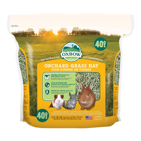 Oxbow Western Orchard Grass Hay for Small Animals (2 Sizes)