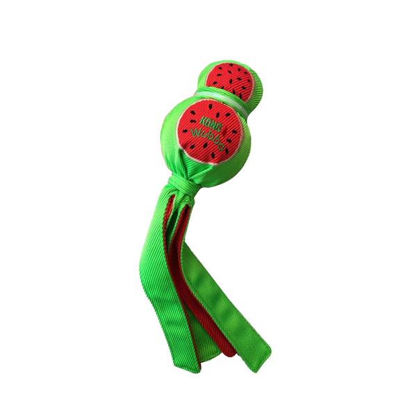 Kong Wubba Watermelon Dog Toy