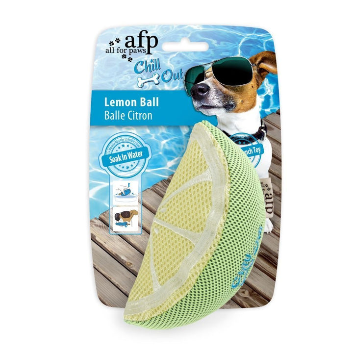All For Paws Chill Out Lemon Slice Dog Toy.Happy Hoomans 