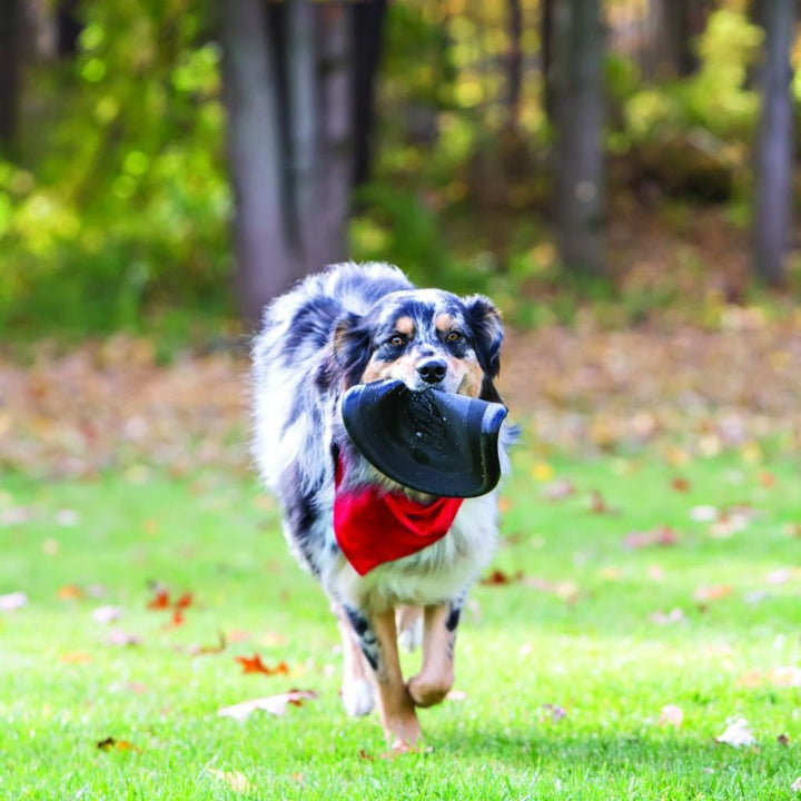 Kong Extreme Flyer Dog Toy - Happy Hoomans