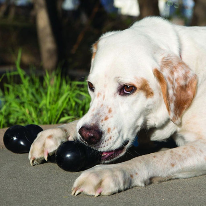 Kong Extreme Goodie Bone Dog Toy (2 Sizes) - Happy Hoomans