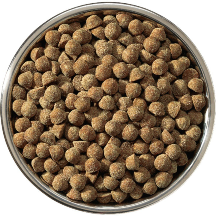Stella & Chewy's Duck Freeze-Dried Raw Coated Kibble Dry Dog Food (2 Sizes) - Happy Hoomans