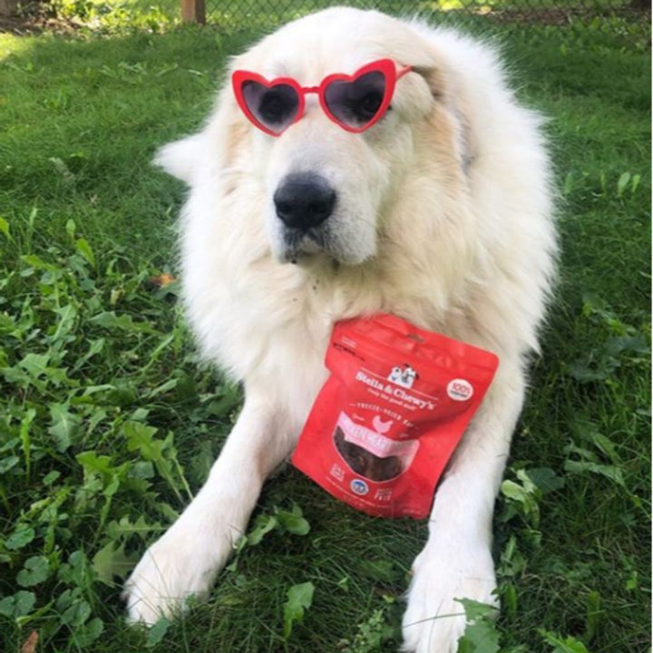 Stella & Chewy's Single Ingredient Chicken Heart Freeze-Dried Raw Dog Treats, 3oz - Happy Hoomans