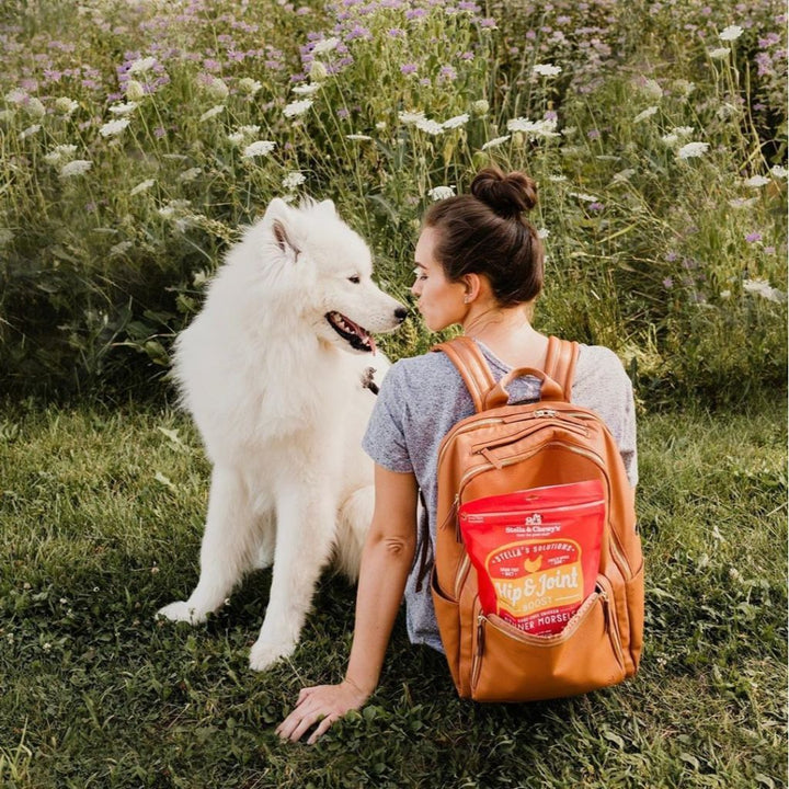 Stella & Chewy's Stella’s Solutions Hip & Joint Boost Chicken Freeze-Dried Raw Dog Food, 368g - Happy Hoomans