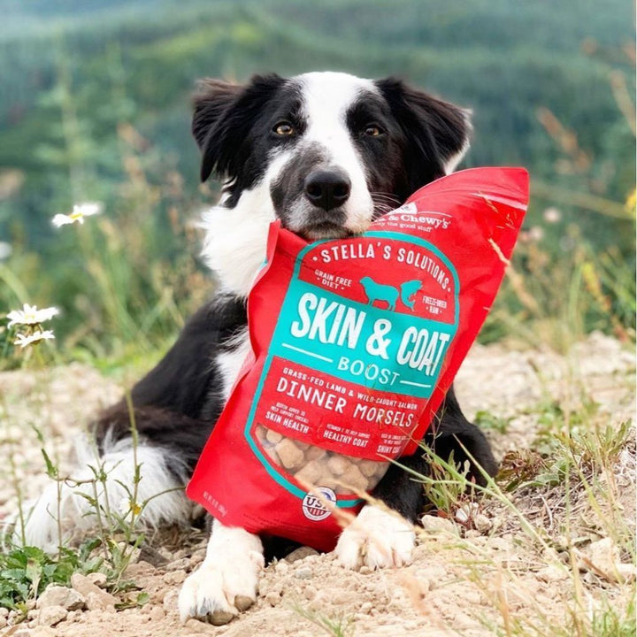 Stella & Chewy's Stella’s Solutions Skin & Coat Boost Lamb & Salmon Freeze-Dried Raw Dog Food, 368g - Happy Hoomans