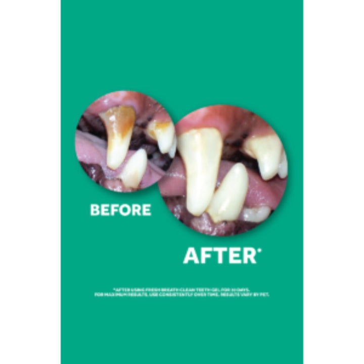 Tropiclean Fresh Breath Advanced Whitening Clean Teeth Gel, 4oz - Happy Hoomans