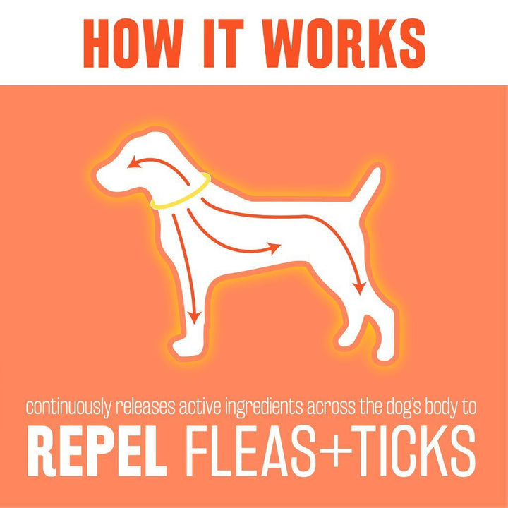 Tropiclean Natural Flea & Tick Cat Collar - Happy Hoomans