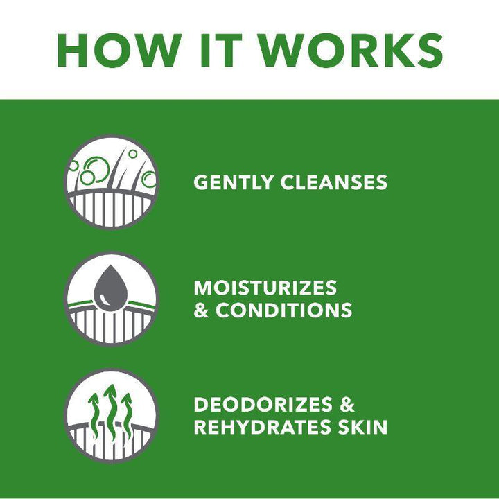 TropiClean OxyMed Hypoallergenic Shampoo, 20 oz - Happy Hoomans