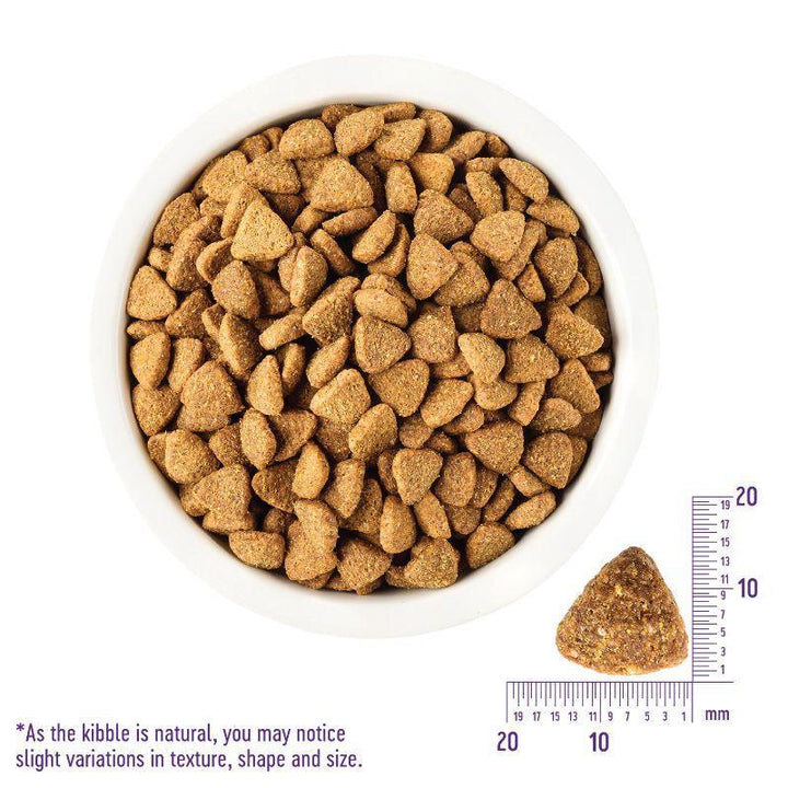 Wellness CORE Large Breed Adult Dry Dog Food, 13.6kg - Happy Hoomans